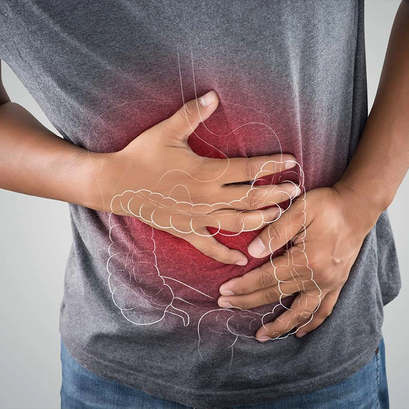 Digestive Wellness