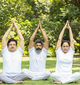 DSS Wellness Tablets